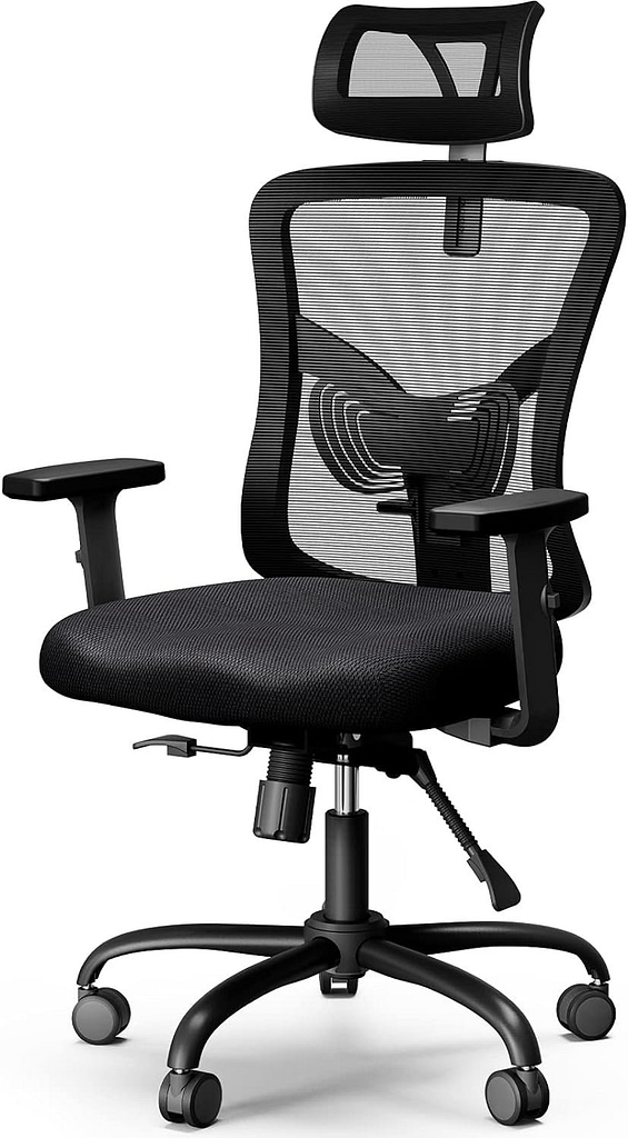 NOBLEWELL Office Chair, Desk Chair with 2 Adjustable Lumbar Support, Headrest, 2D Armrest, Ergonomic Office Chair Backrest 135° Freely Locking and Rocking, Computer Chair for Home Office